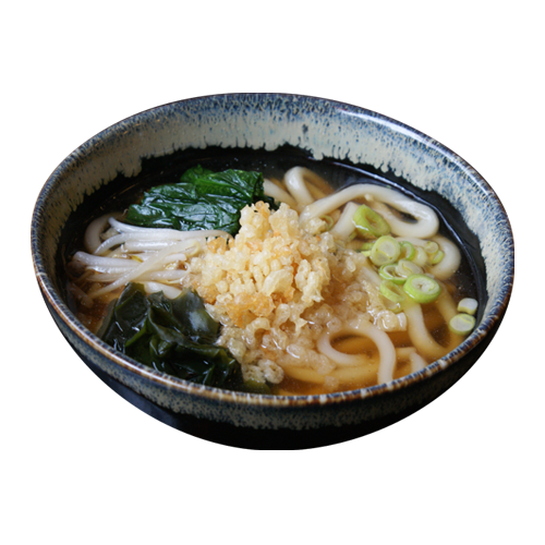 Tanuki Udon